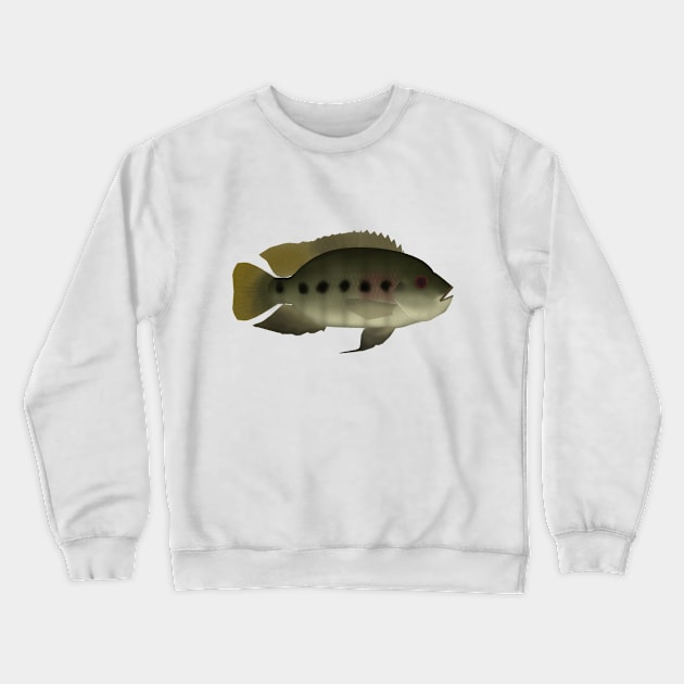 Spotted Tilapia Crewneck Sweatshirt by FishFolkArt